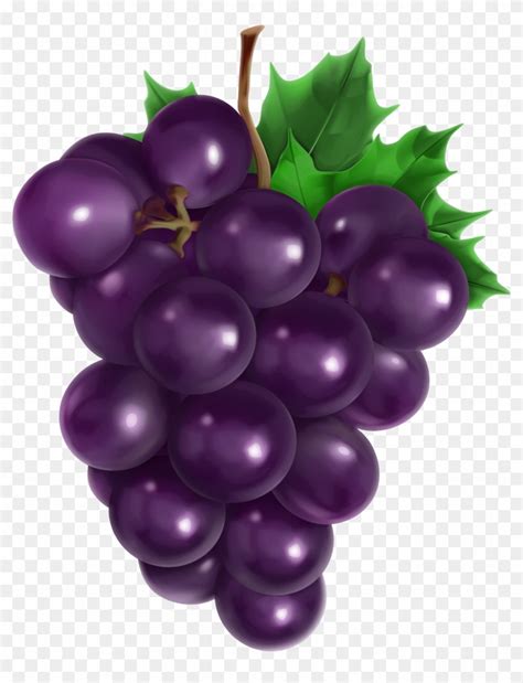 <strong>Purple Grapes</strong>. . Grape clips